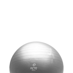 BOLA-FISIOBOL-GYM-BALL-55CM-PRATA-